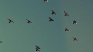 估值专题：AI公司PS与PE该如何切换